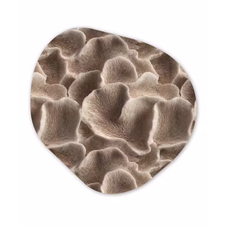 Waaiervorm - Beige - Vezel textuur Wandcirkel Organisch Aluminium middel 851 -3d