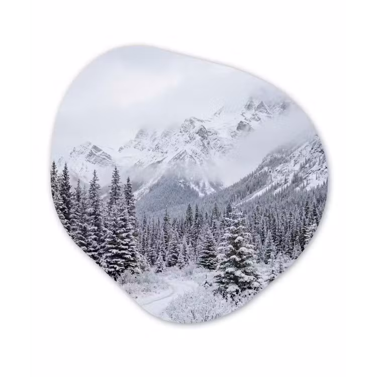 Weg - Bergen - Sneeuw - Naaldbos - Avontuurlijk Wandcirkel Organisch Aluminium middel -3d