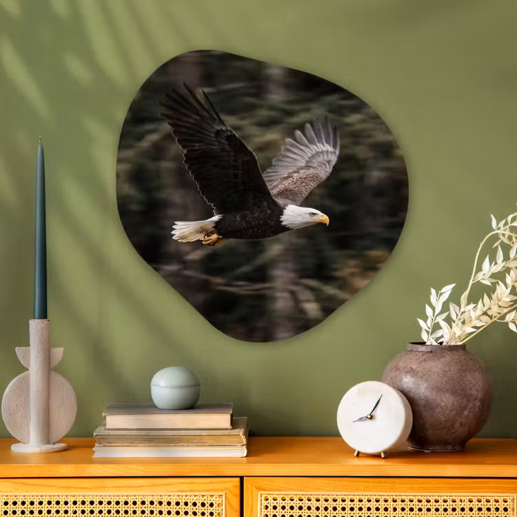 Zeearend - Vliegen - Bos - Natuur Wandcirkel Organisch Aluminium middel -sfeer2