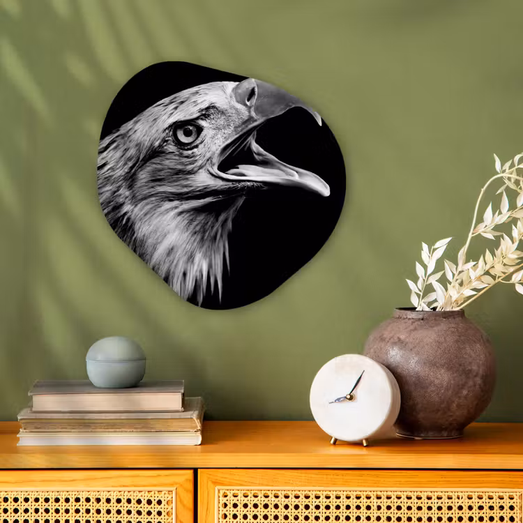 Adelaar - Portret - Roofvogels - Zwart - Wit - Vogel Wandcirkel Organisch Forex 3mm klein -sfeer2