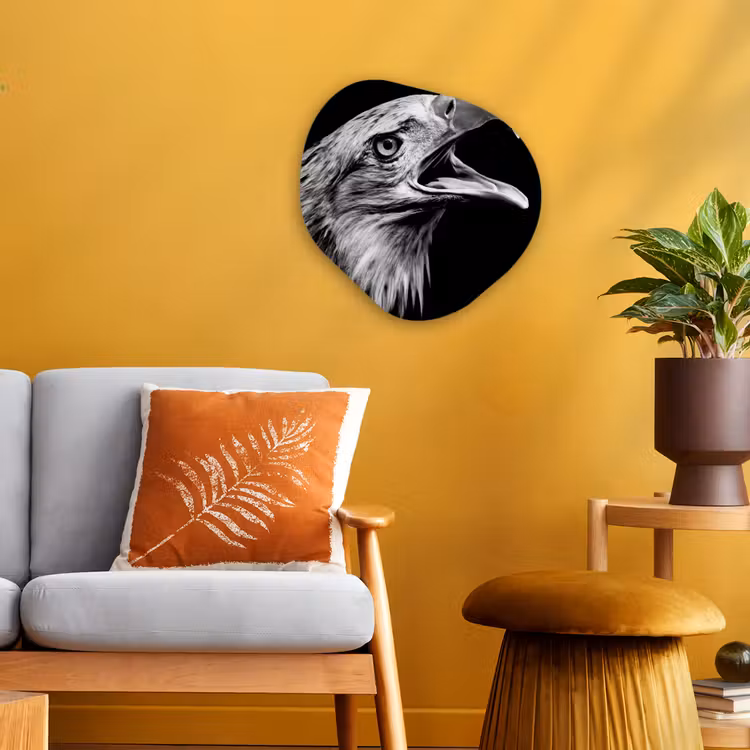 Adelaar - Portret - Roofvogels - Zwart - Wit - Vogel Wandcirkel Organisch Forex 3mm klein -sfeer4