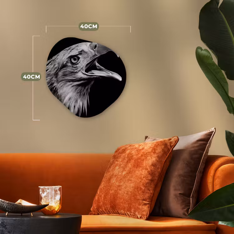 Adelaar - Portret - Roofvogels - Zwart - Wit - Vogel Wandcirkel Organisch Forex 3mm klein -sfeer3