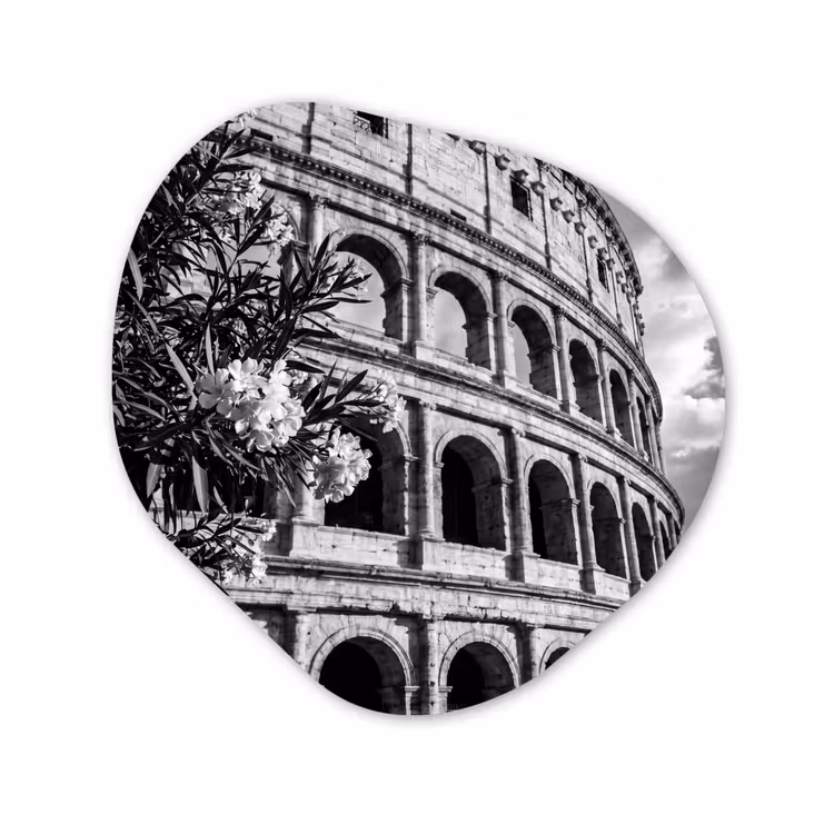 Architectuur - Colosseum - Rome - Historisch - Zwart-wit Wandcirkel Organisch Forex 3mm klein -3d