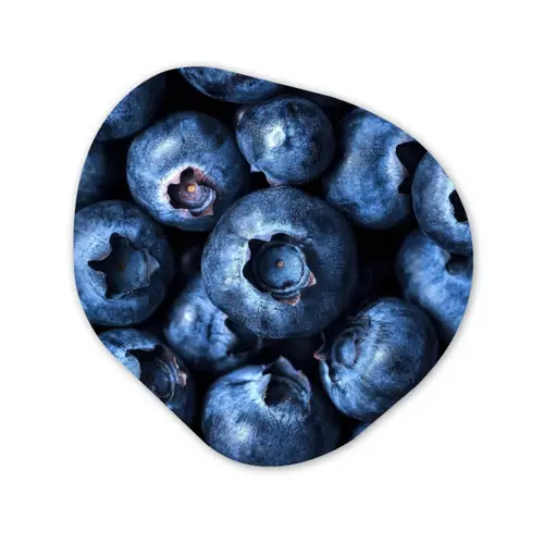 Bessen - Blauw - Fruit Wandcirkel Organisch Forex 3mm klein -3d