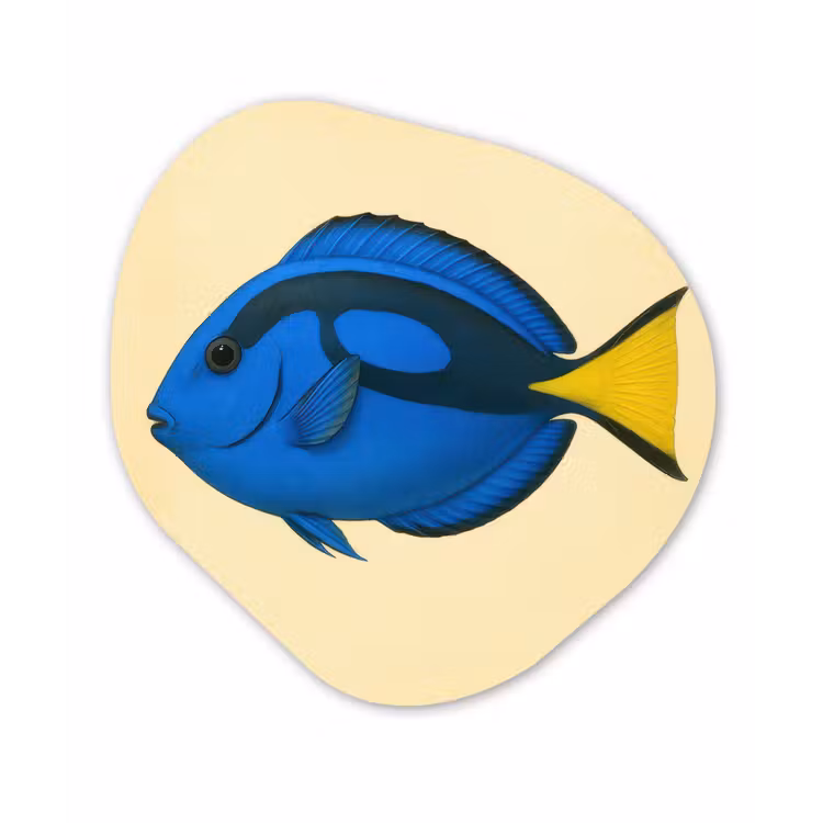 Blauw - Dory - Vis - Staartvin Wandcirkel Organisch Forex 3mm klein -3d