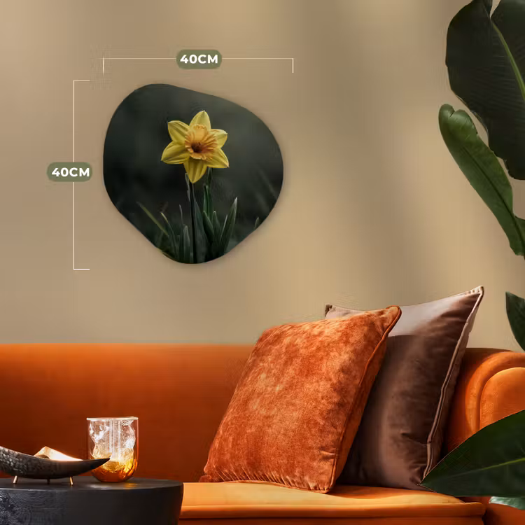 Bloem - Narcis - Gras - Geel Wandcirkel Organisch Forex 3mm klein -sfeer3
