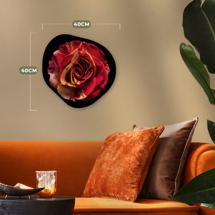 Bloem - Roos - Rood - Zwart Wandcirkel Organisch Forex 3mm klein -sfeer3
