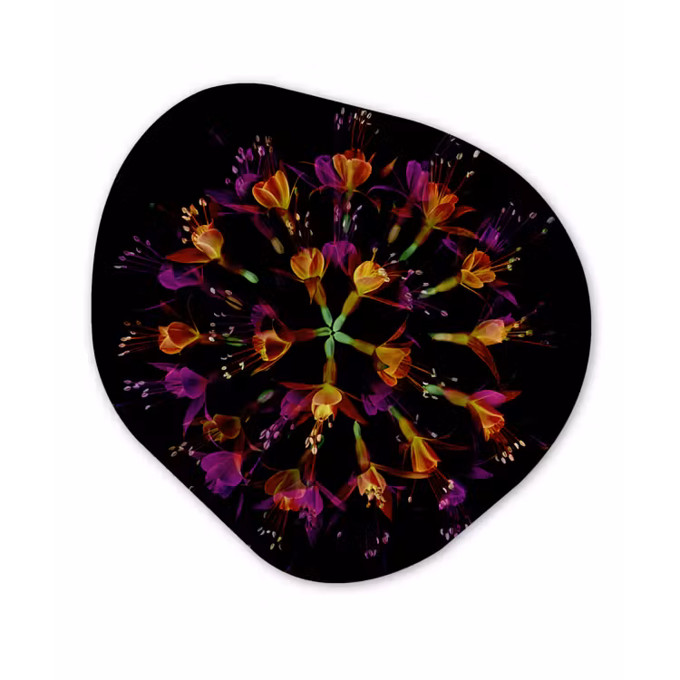 Bloemen - Oranje - Roze - Zwart Wandcirkel Organisch Forex 3mm klein -3d