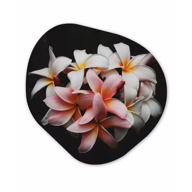 Bloemen - Roze - Zwart - Flora - Botanisch Wandcirkel Organisch Forex 3mm klein -3d
