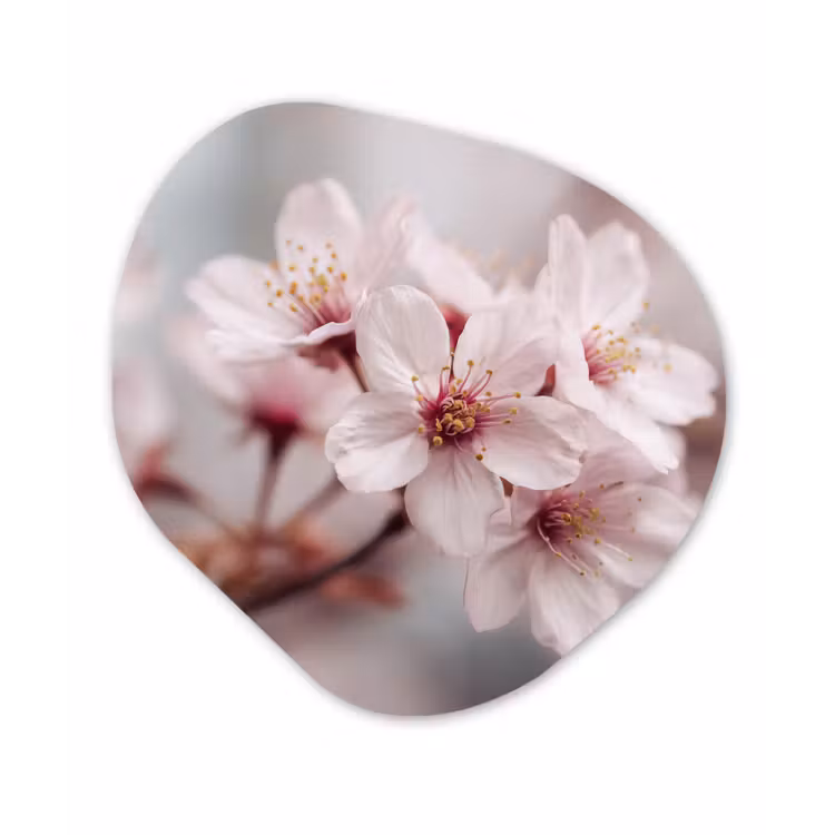 Bloesems - Meeldraden - Geel - Wazig Wandcirkel Organisch Forex 3mm klein -3d