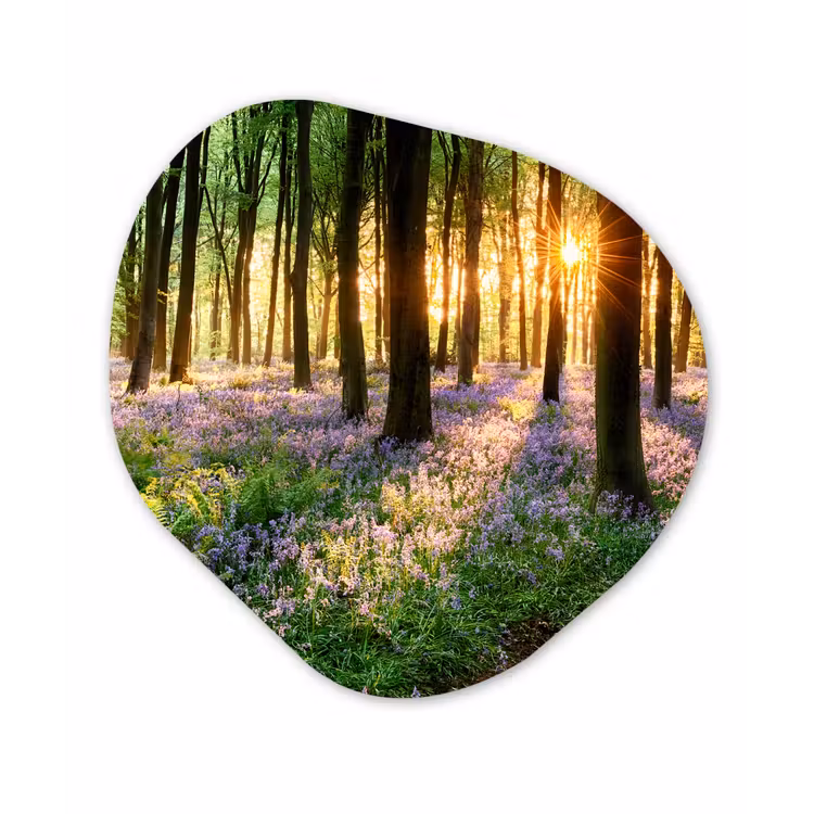 Bos - Bloemen - Lavendel - Zon - Paars - Natuur Wandcirkel Organisch Forex 3mm klein -3d