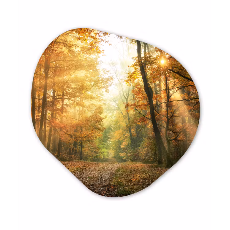 Bos - Herfst - Zon - Landschap - Natuur - Bomen - Bladeren Wandcirkel Organisch Forex 3mm klein -3d