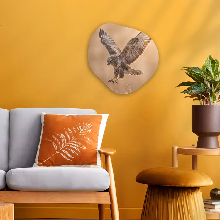 Buizerd - Roofvogel - Natuur - Bruin Wandcirkel Organisch Forex 3mm klein -sfeer4