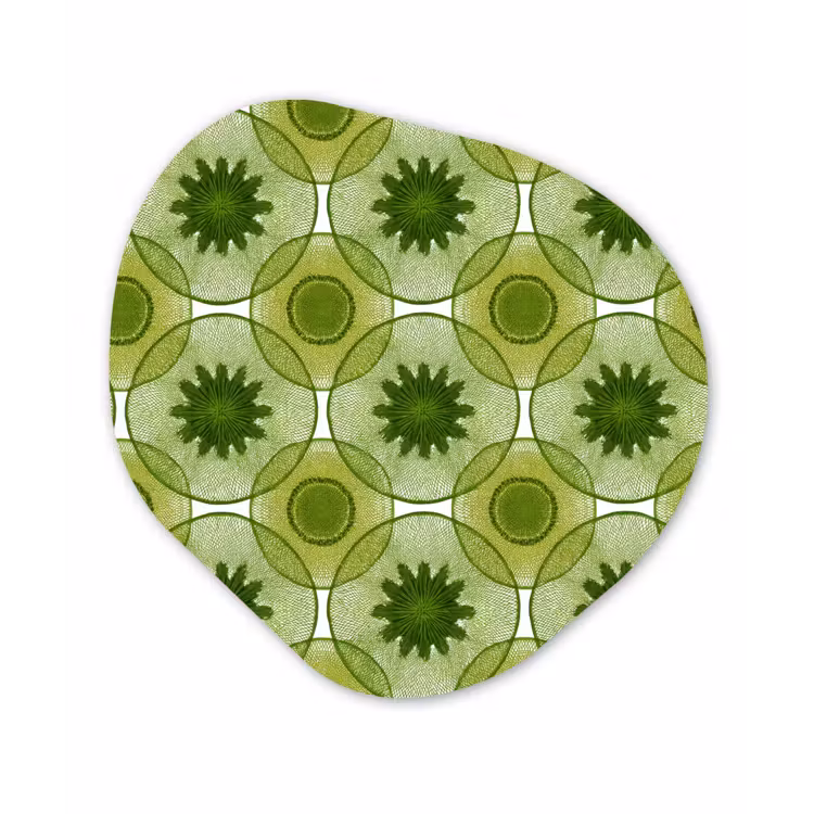 Cirkels - Patroon - Groen Wandcirkel Organisch Forex 3mm klein 629 -3d