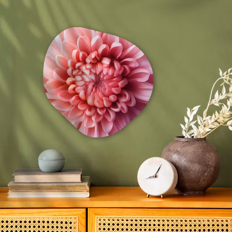 Dahlia - Bloem - Close up - Roze Wandcirkel Organisch Forex 3mm klein -sfeer2