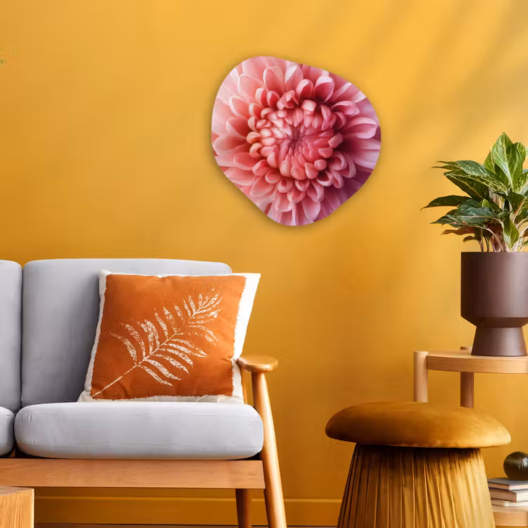 Dahlia - Bloem - Close up - Roze Wandcirkel Organisch Forex 3mm klein -sfeer4