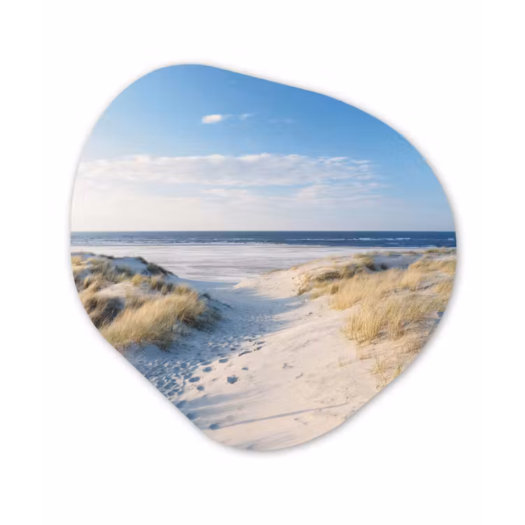 Duin - Meeuw - Strand - Zee - Zon Wandcirkel Organisch Forex 3mm klein -3d