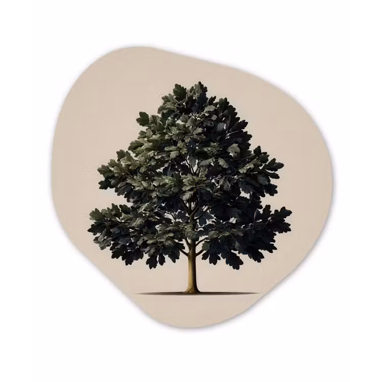 Eikenboom - Schaduw - Egaal Wandcirkel Organisch Forex 3mm klein -3d