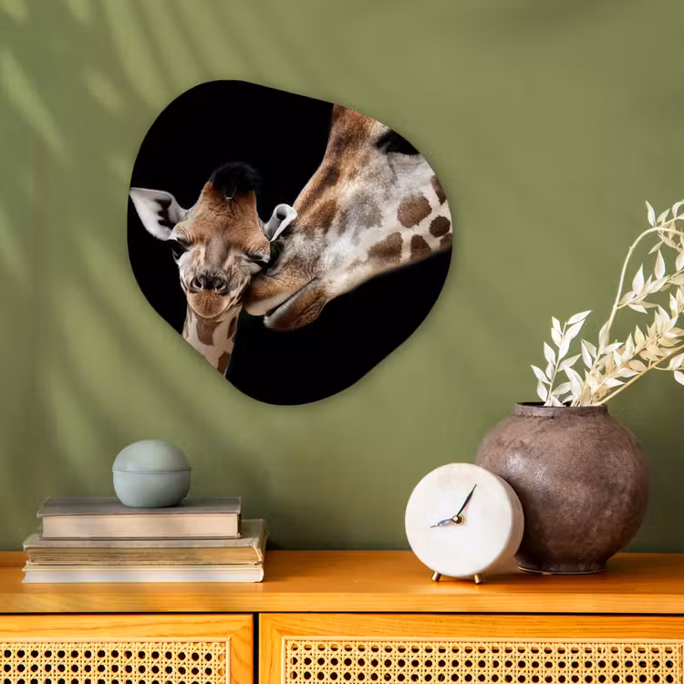 Giraffe - Dieren - Zwart - Portret - Dieren Wandcirkel Organisch Forex 3mm klein -sfeer2