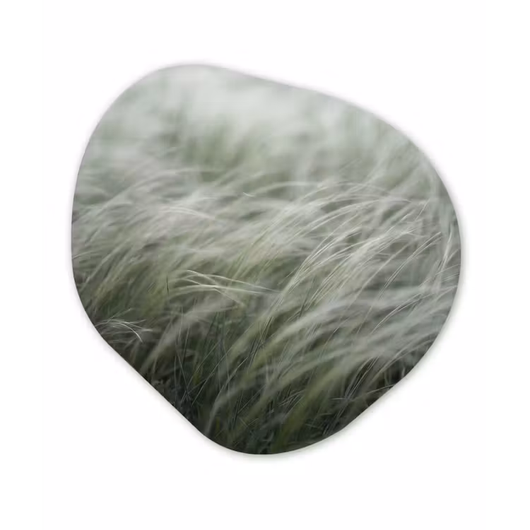 Gras - Wazig - Natuur - Groen - Zacht Wandcirkel Organisch Forex 3mm klein -3d