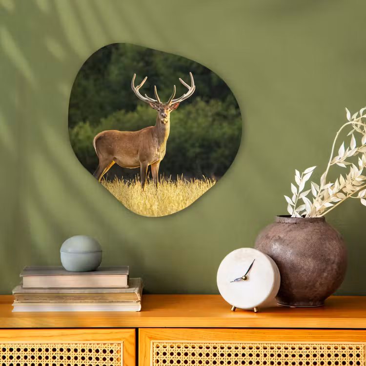 Hert - Gewei - Gras - Natuur - Dieren - Groen Wandcirkel Organisch Forex 3mm klein -sfeer2
