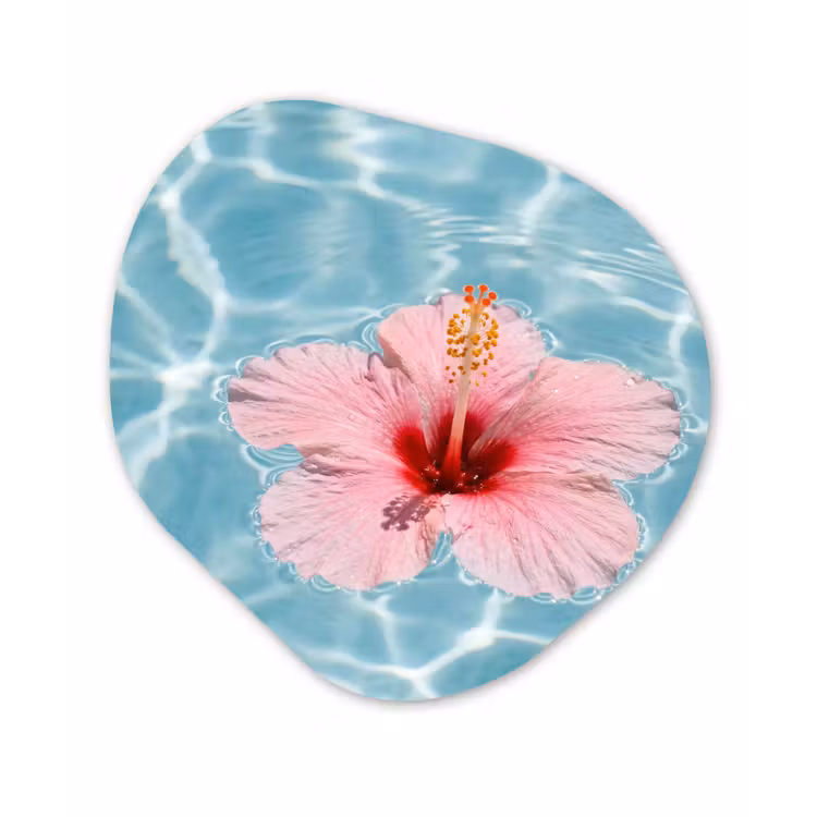Hibiscus - Water - Roze Wandcirkel Organisch Forex 3mm klein -3d