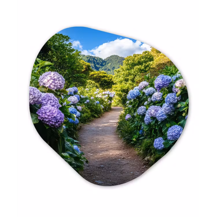 Hortsensia - Pad - Bloemen Wandcirkel Organisch Forex 3mm klein -3d