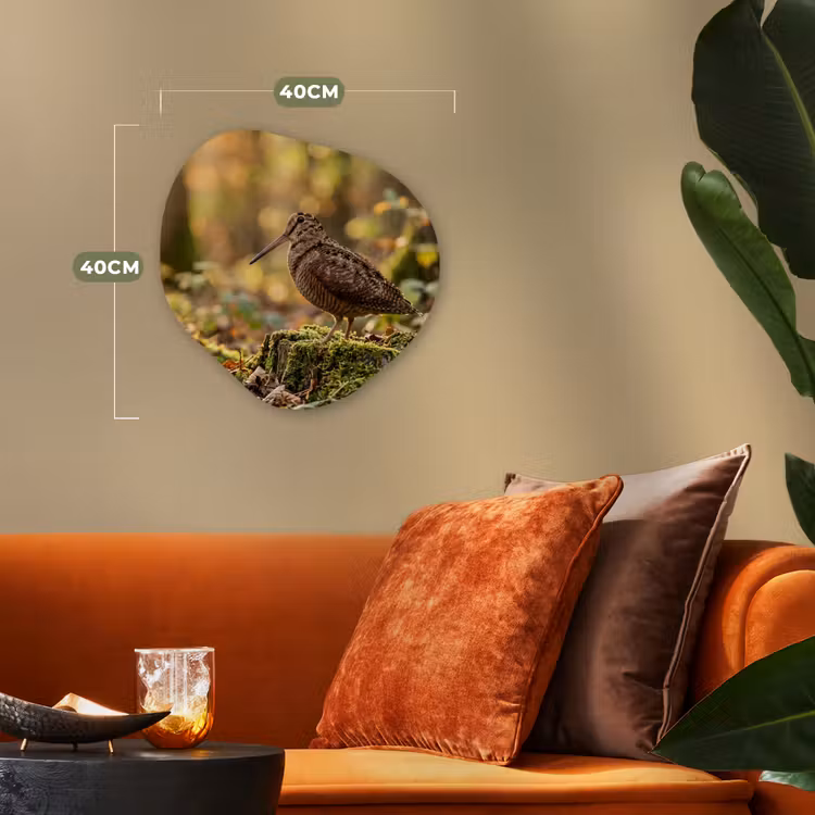 Houtsnip - Bos - Bladeren - Herfst - Gecamoufleerd Wandcirkel Organisch Forex 3mm klein -sfeer3