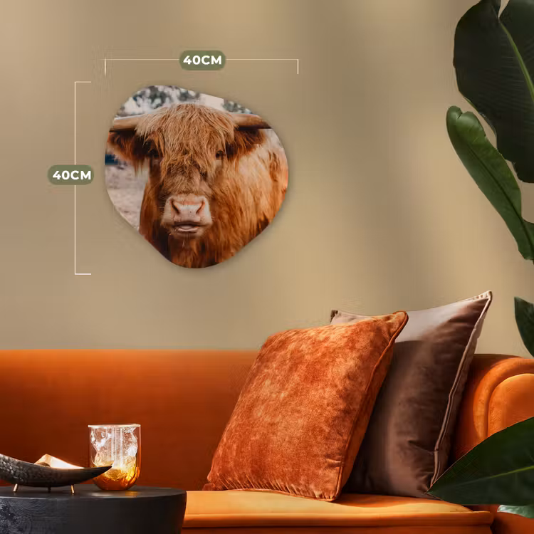 Koe- Schotse hooglander - Hoorns - Bruin - Landschap Wandcirkel Organisch Forex 3mm klein -sfeer3