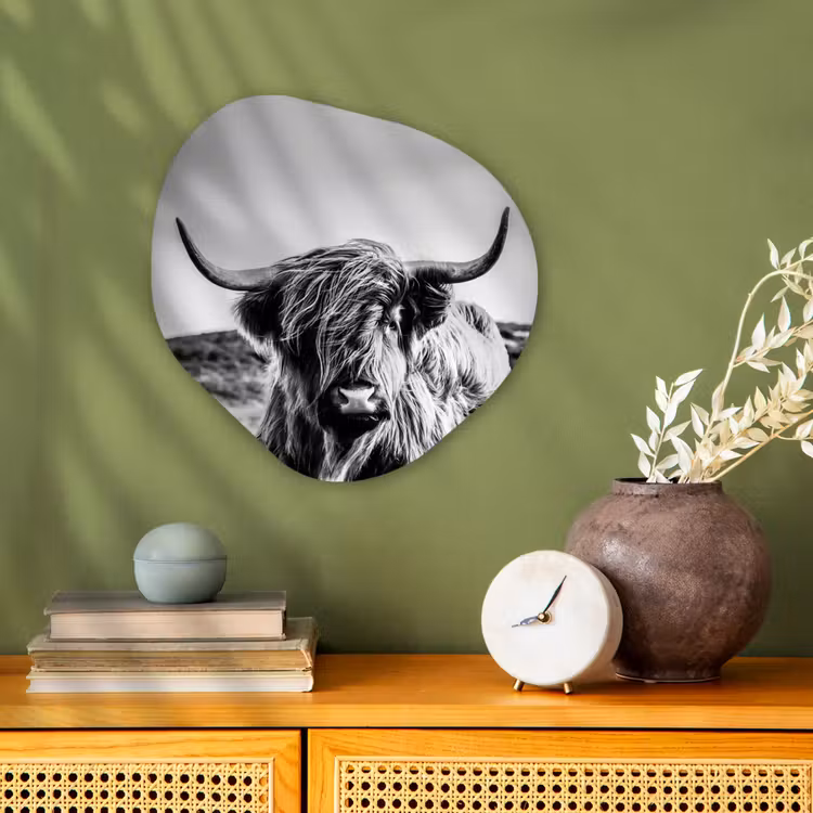 Koe - Schotse hooglander - Zwart - Wit - Dier - Natuur - Wild Wandcirkel Organisch Forex 3mm klein -sfeer2