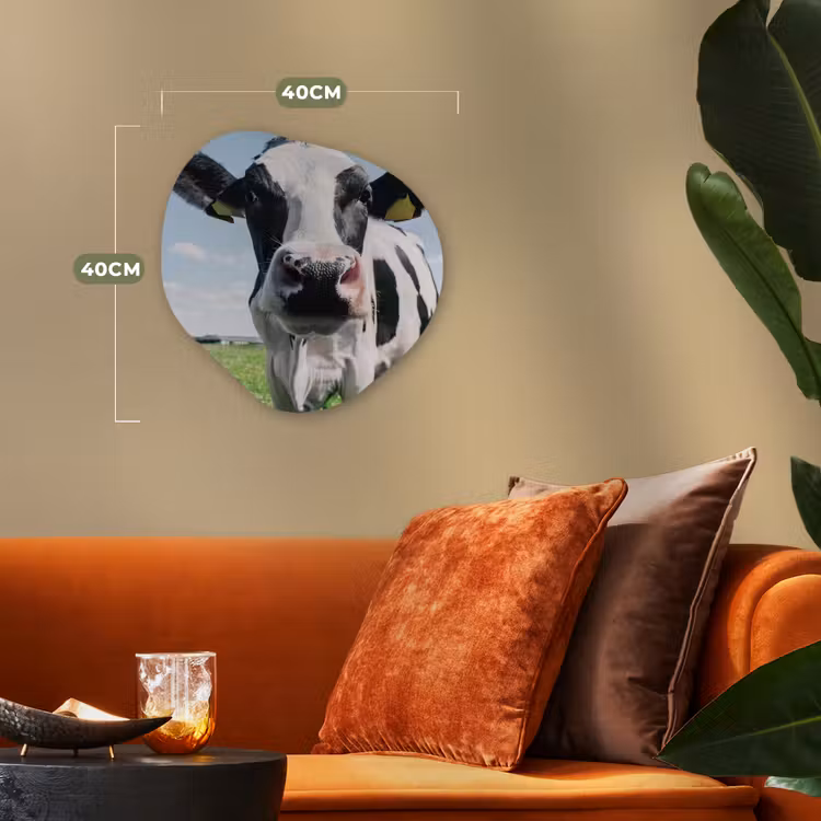 Koe - Weiland - Natuur - Dieren - Gras Wandcirkel Organisch Forex 3mm klein -sfeer3