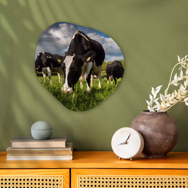 Koeien - Dieren - Gras - Weiland - Boerderij Wandcirkel Organisch Forex 3mm klein -sfeer2