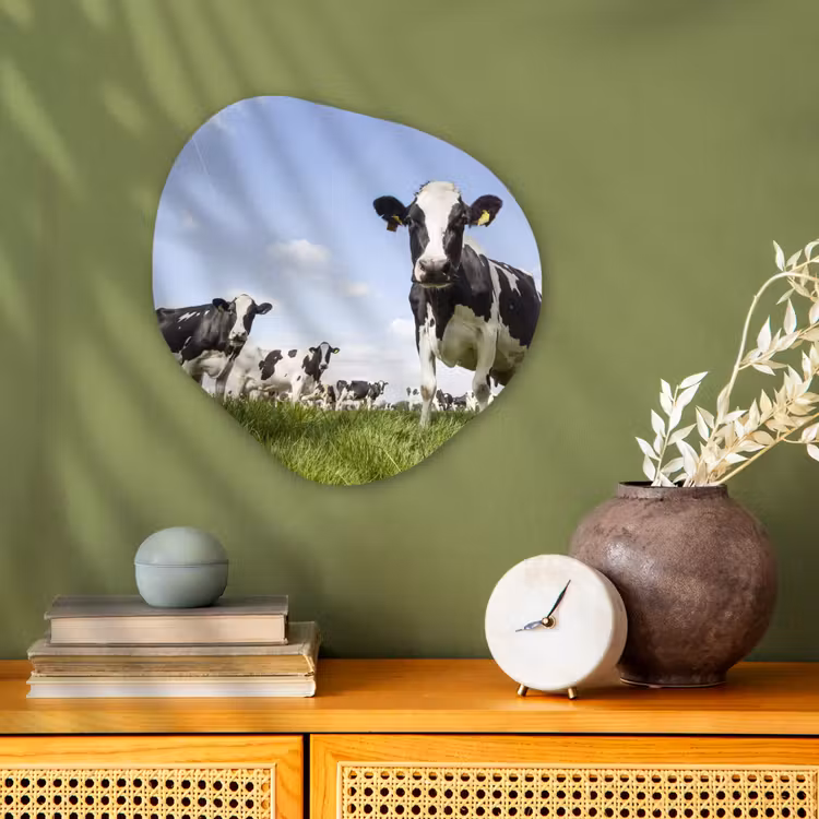 Koeien - Gras - Dieren - Zon - Boerderij Wandcirkel Organisch Forex 3mm klein -sfeer2