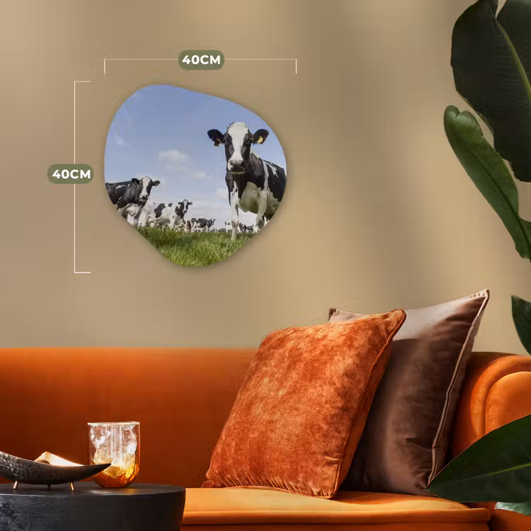 Koeien - Gras - Dieren - Zon - Boerderij Wandcirkel Organisch Forex 3mm klein -sfeer3