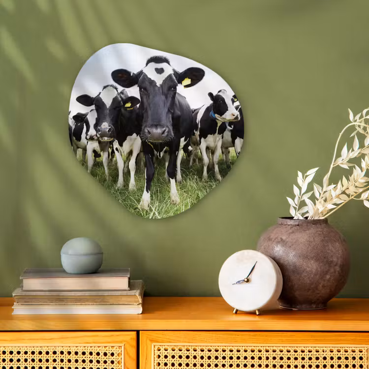 Koeien - Gras - Lente - Dieren - Weiland - Boerderij Wandcirkel Organisch Forex 3mm klein -sfeer2