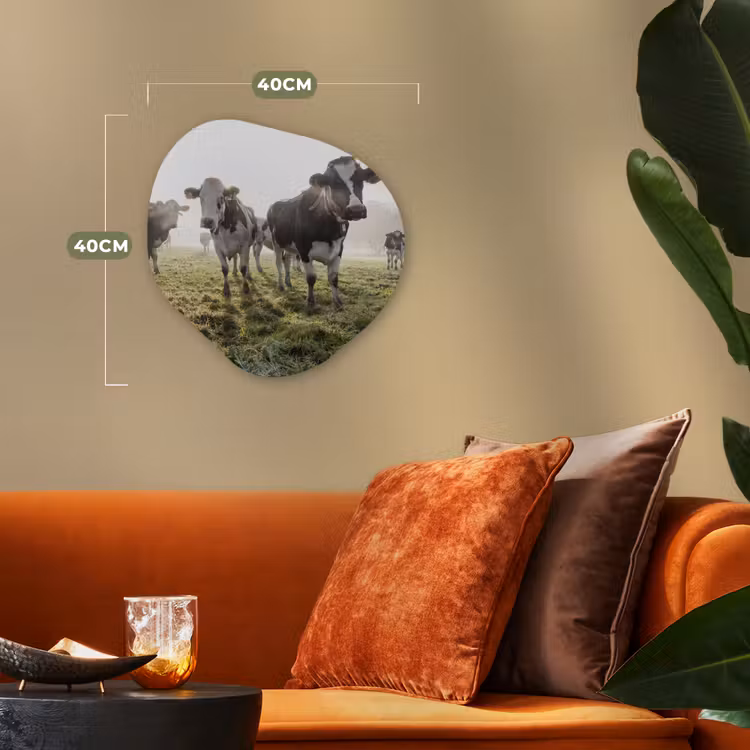 Koeien - Licht - Gras - Dieren Wandcirkel Organisch Forex 3mm klein -sfeer3