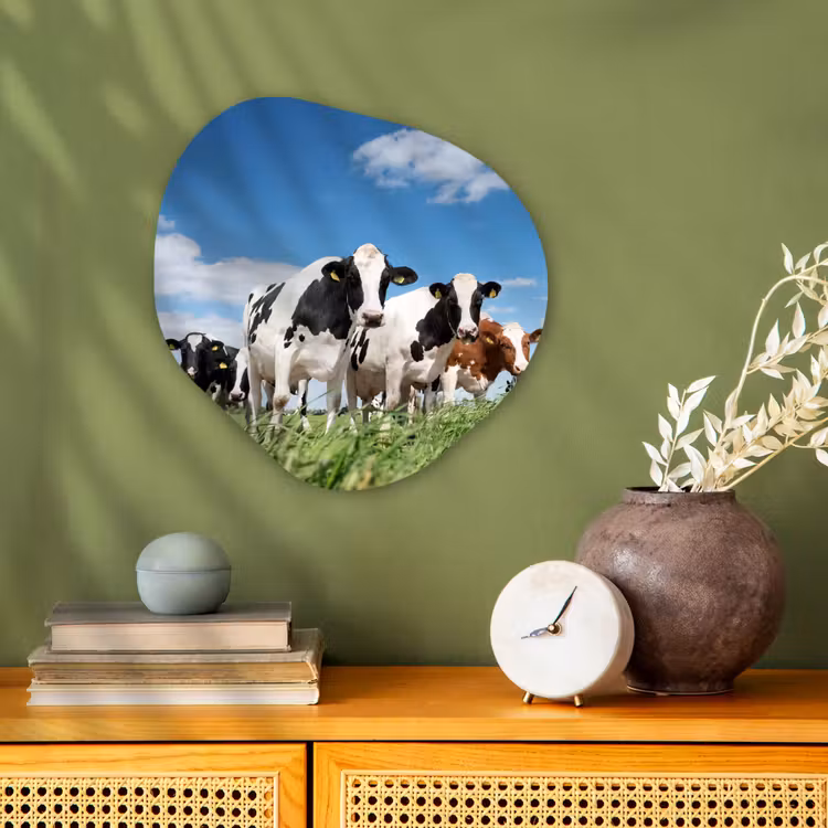 Koeien - Platteland - Weiland - Natuur - Dieren Wandcirkel Organisch Forex 3mm klein -sfeer2