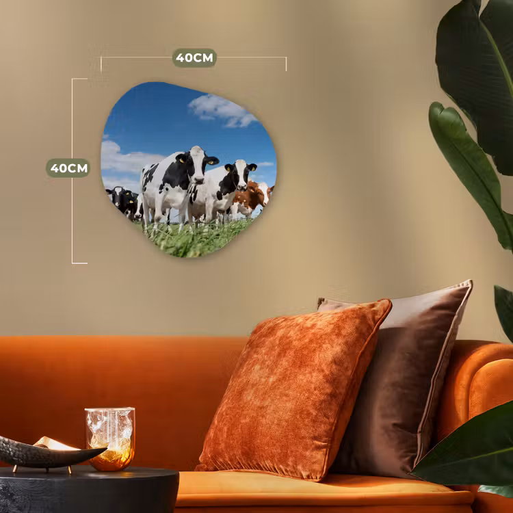 Koeien - Platteland - Weiland - Natuur - Dieren Wandcirkel Organisch Forex 3mm klein -sfeer3