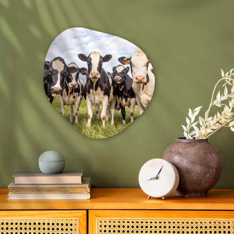 Koeien - Weiland - Dieren - Natuur - Gras Wandcirkel Organisch Forex 3mm klein -sfeer2
