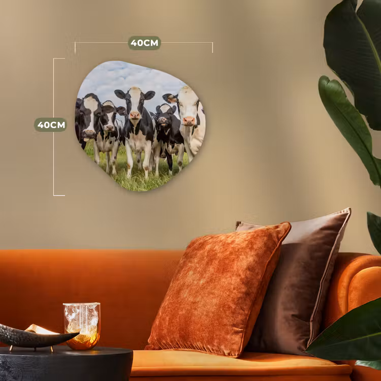 Koeien - Weiland - Dieren - Natuur - Gras Wandcirkel Organisch Forex 3mm klein -sfeer3