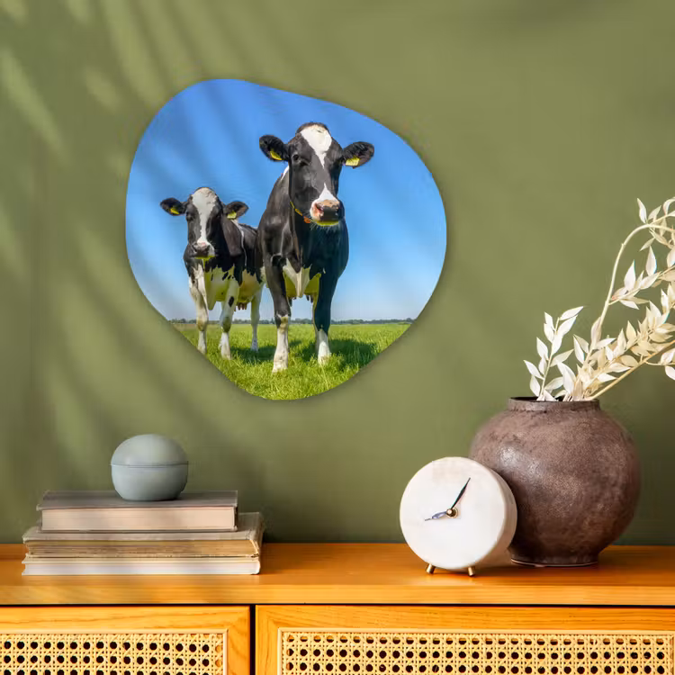 Koeien - Weiland - Gras - Dieren - Boerderij Wandcirkel Organisch Forex 3mm klein -sfeer2
