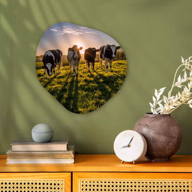 Koeien - Zon - Gras - Dieren - Boerderij Wandcirkel Organisch Forex 3mm klein -sfeer2
