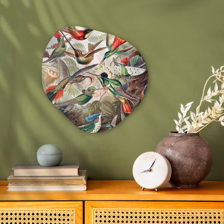 Kolibrie - Vintage - Ernst Haeckel - Vogels Wandcirkel Organisch Forex 3mm klein -sfeer2