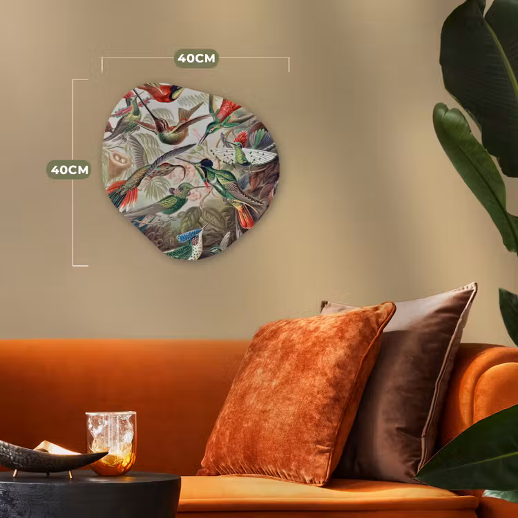 Kolibrie - Vintage - Ernst Haeckel - Vogels Wandcirkel Organisch Forex 3mm klein -sfeer3