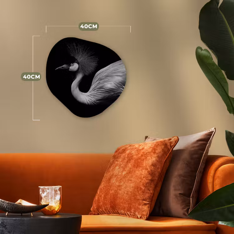 Kraanvogel - Zwart - Wit - Vogel - Dieren Wandcirkel Organisch Forex 3mm klein -sfeer3