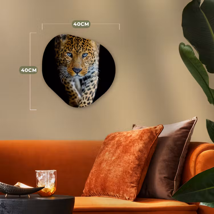 Luipaard - Dieren - Portret - Wilde dieren - Zwart Wandcirkel Organisch Forex 3mm klein -sfeer3