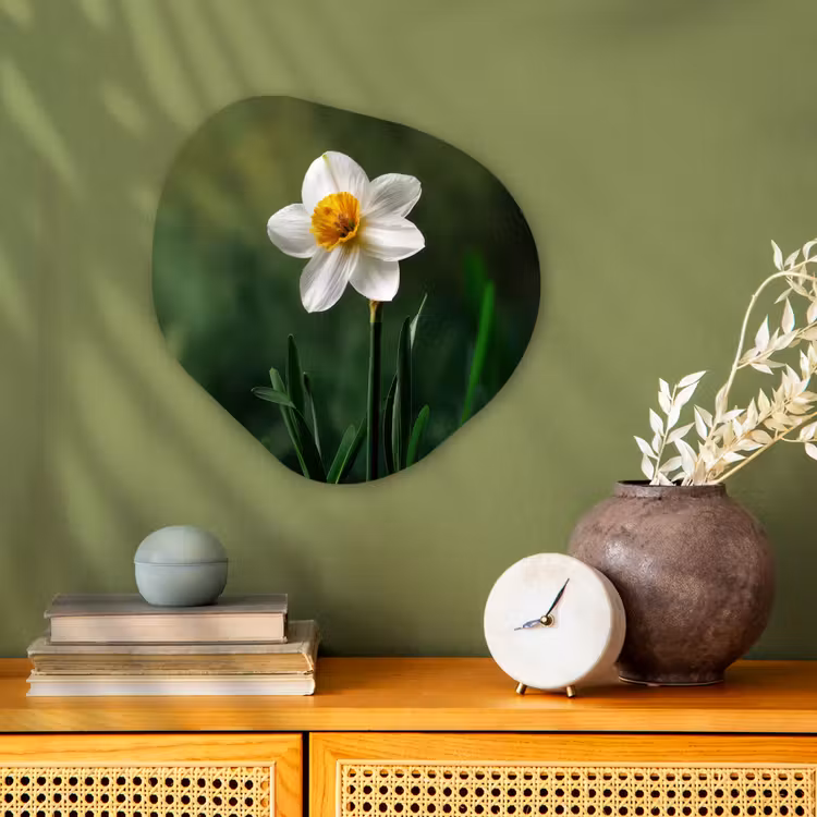 Narcis - Bloem - Wit - Grassprieten Wandcirkel Organisch Forex 3mm klein -sfeer2