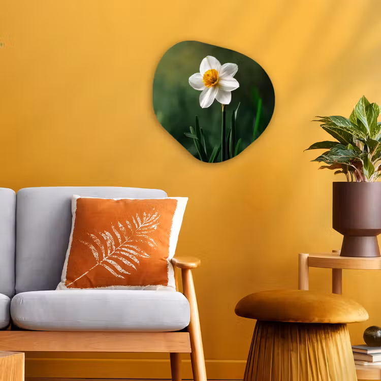 Narcis - Bloem - Wit - Grassprieten Wandcirkel Organisch Forex 3mm klein -sfeer4