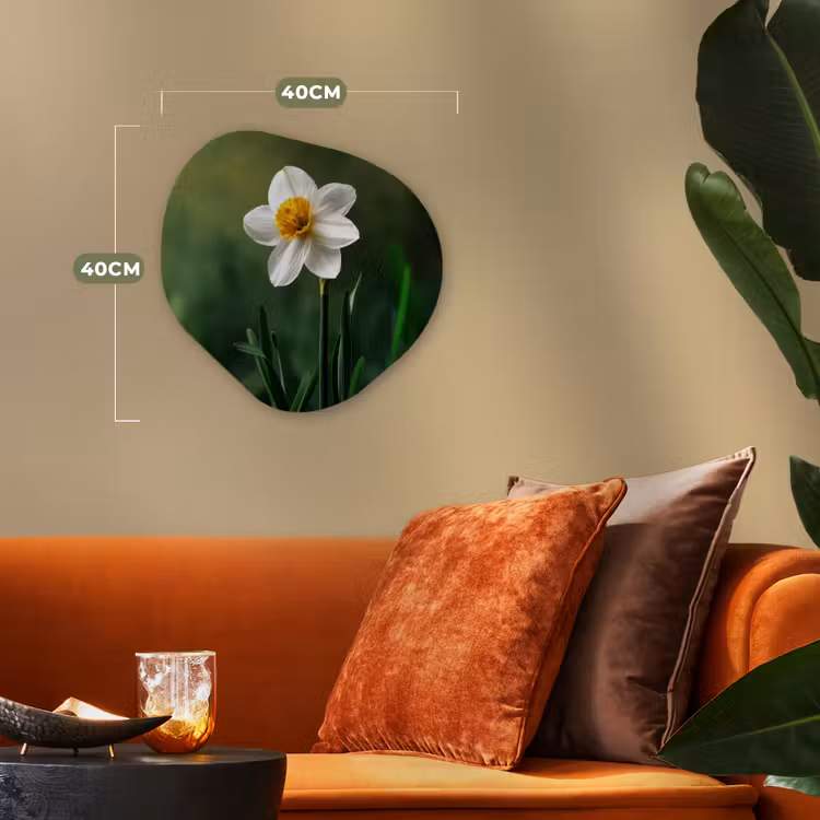Narcis - Bloem - Wit - Grassprieten Wandcirkel Organisch Forex 3mm klein -sfeer3