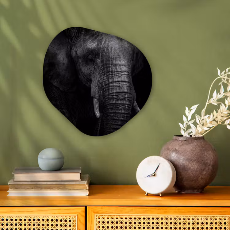 Olifant - Dier - Portret Wandcirkel Organisch Forex 3mm klein -sfeer2